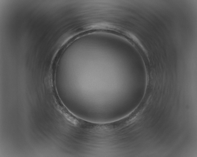 X0000068320931200604211201