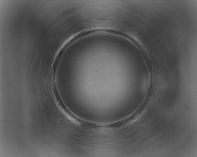 X0000068320933200604211201