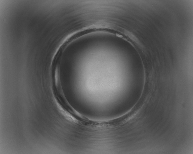 X0000068320934200604211201