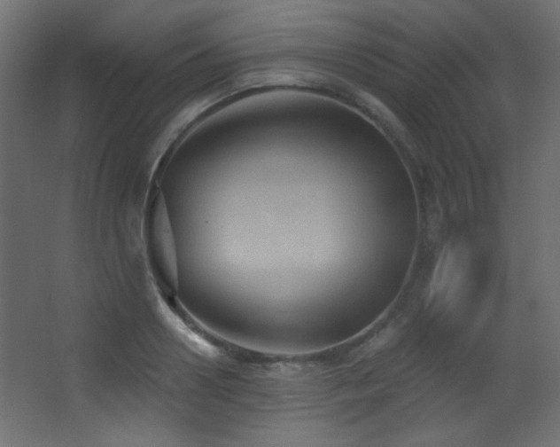 X0000068320938200604211201