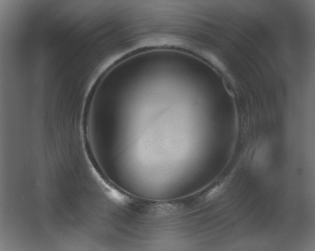 X0000068320943200604211202