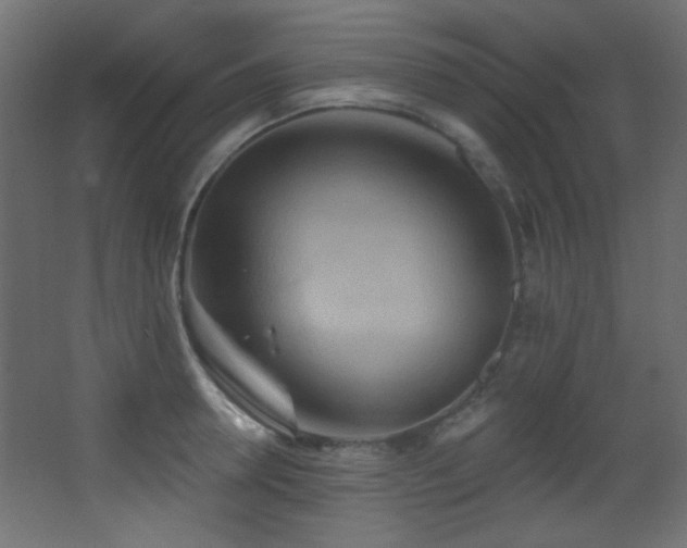 X0000068320946200604211202
