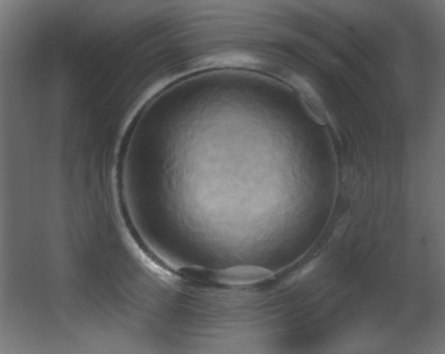X0000068320947200604211202