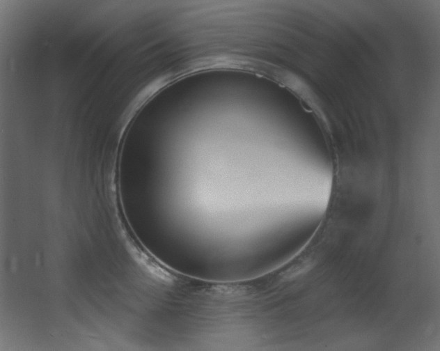 X0000068320954200604211202