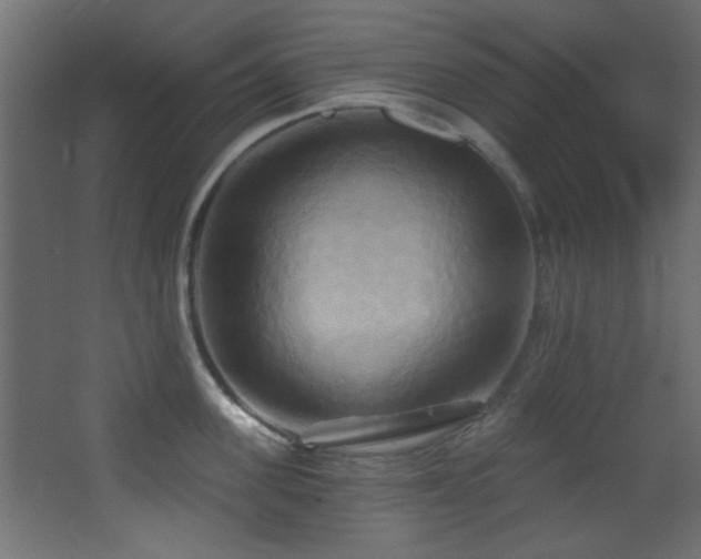 X0000068320955200604211202