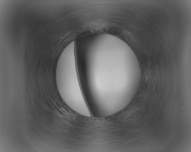 X0000068320964200604211201