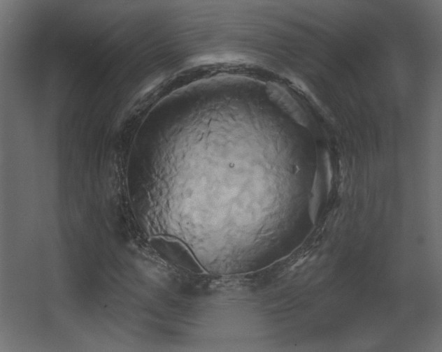 X0000068320967200604211201