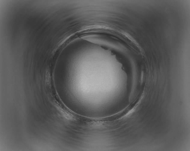 X0000068320969200604211201