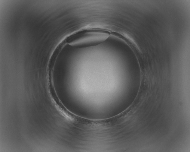 X0000068320976200604211201