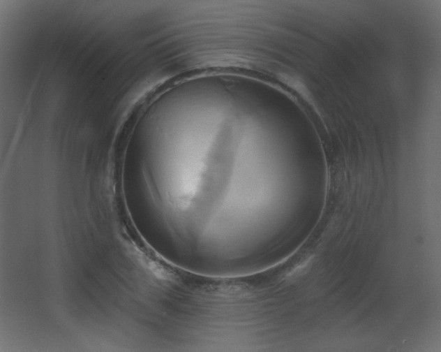 X0000068320979200604211201