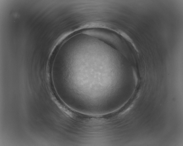 X0000068320981200604211201