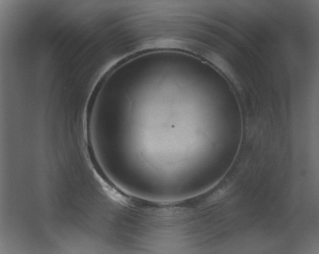 X0000068320988200604211201