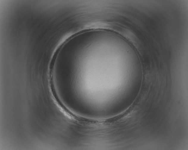 X0000068320990200604211200