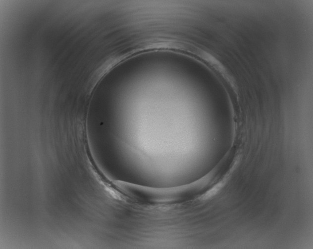 X0000068320993200604211200