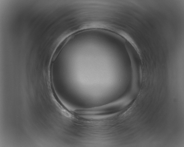 X0000068320996200604211200