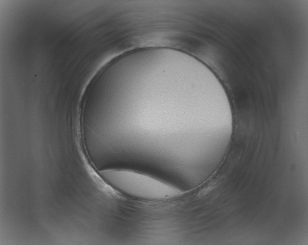 X0000068321000200604211200