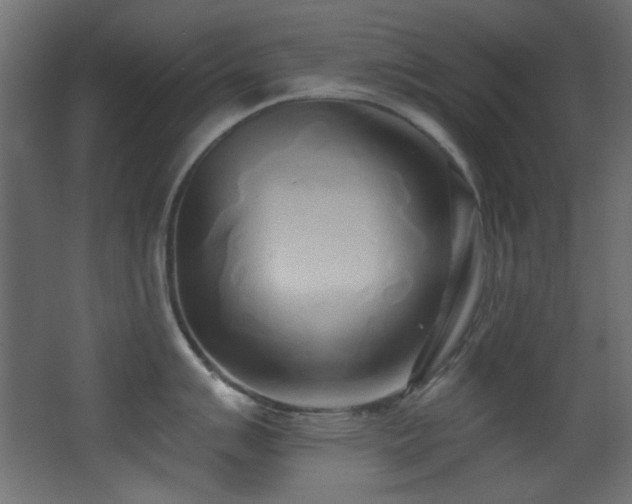 X0000068321007200604211200