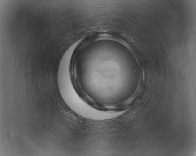X0000068321010200604211159