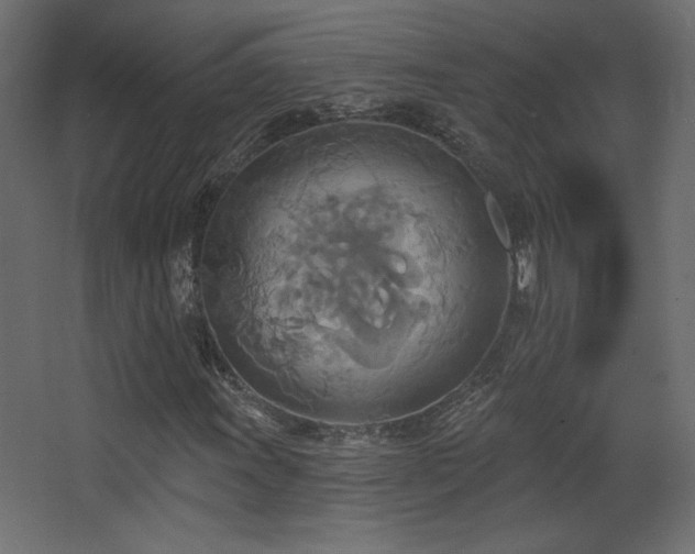 X0000068321011200604211159