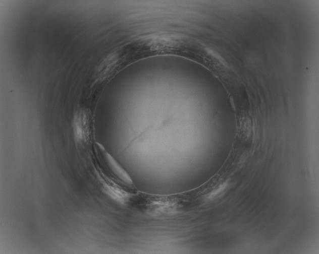 X0000068321012200604211159