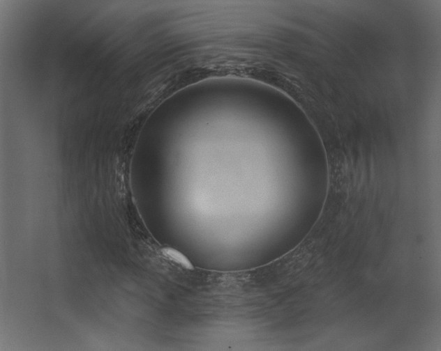 X0000068321013200604211159