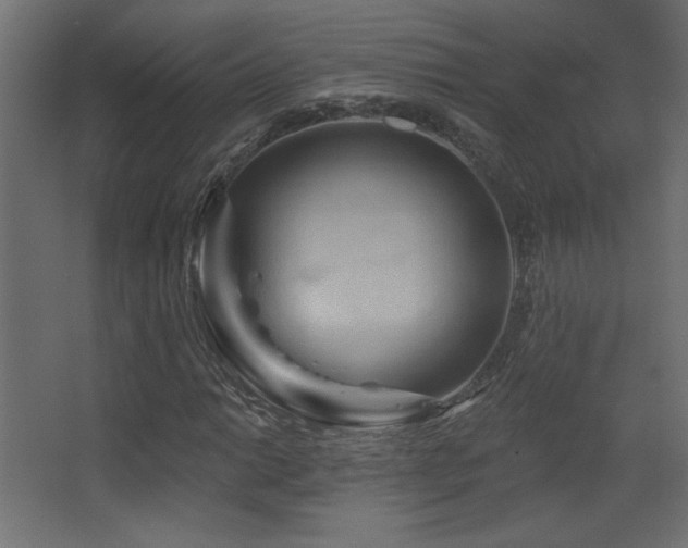 X0000068321014200604211159