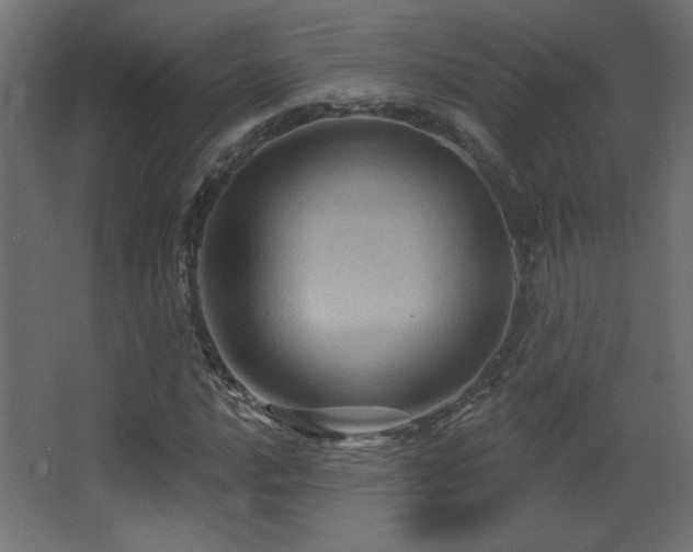 X0000068321016200604211159