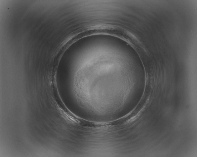 X0000068321017200604211159