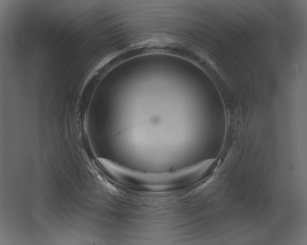 X0000068321018200604211200