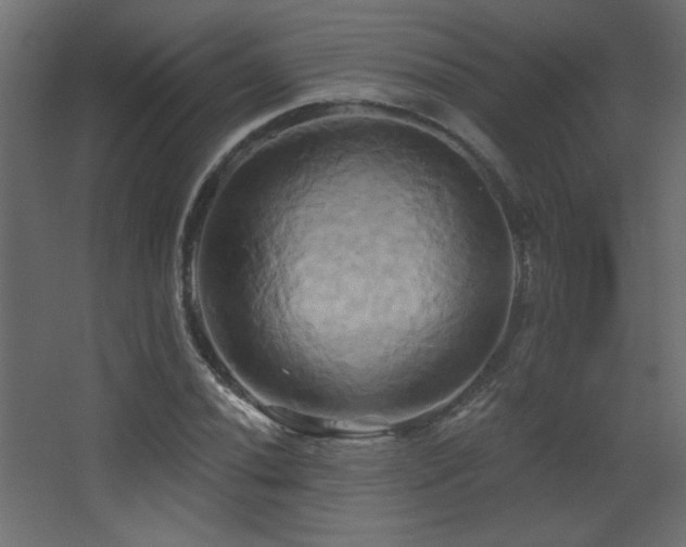 X0000068321020200604211200