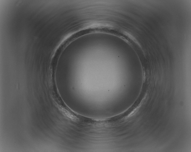 X0000068321021200604211200