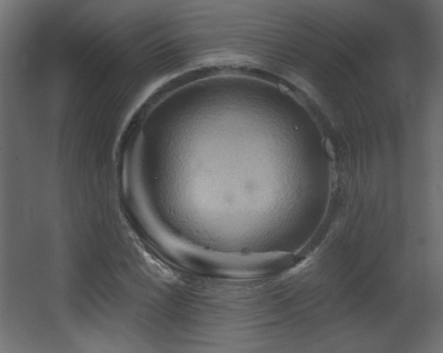 X0000068321022200604211200