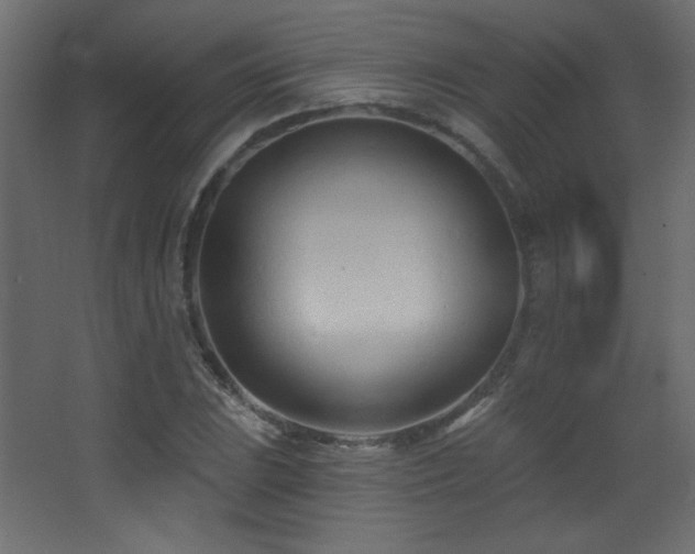 X0000068321023200604211200
