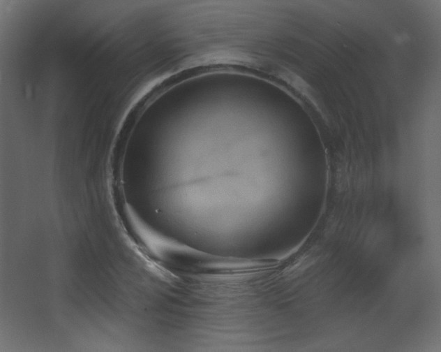 X0000068321024200604211200