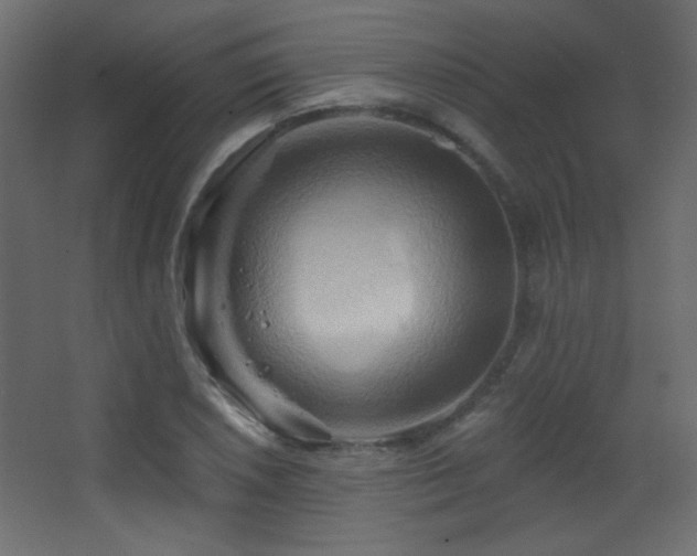 X0000068321026200604211200