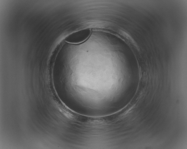X0000068321027200604211200