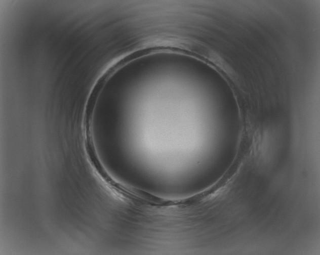 X0000068321028200604211200