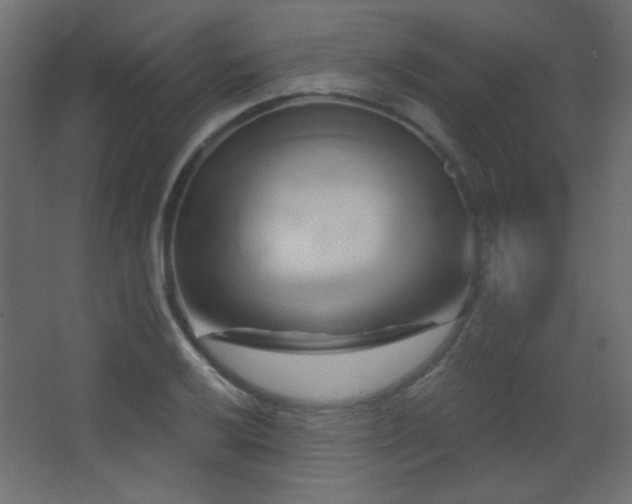 X0000068321032200604211200