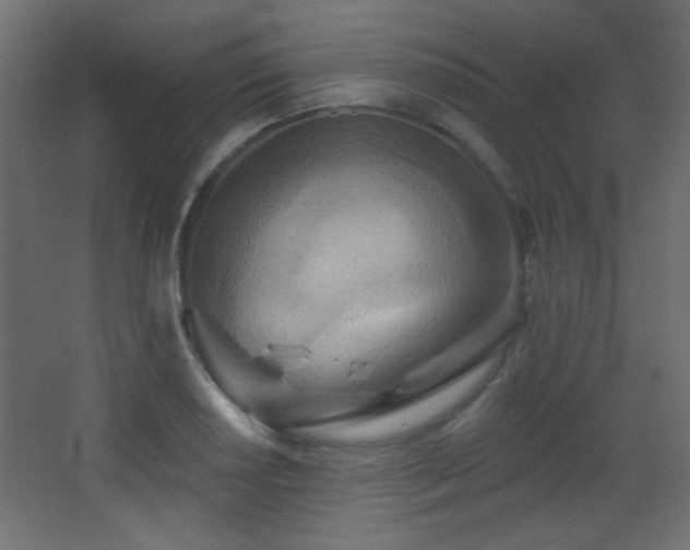 X0000068321034200604211200