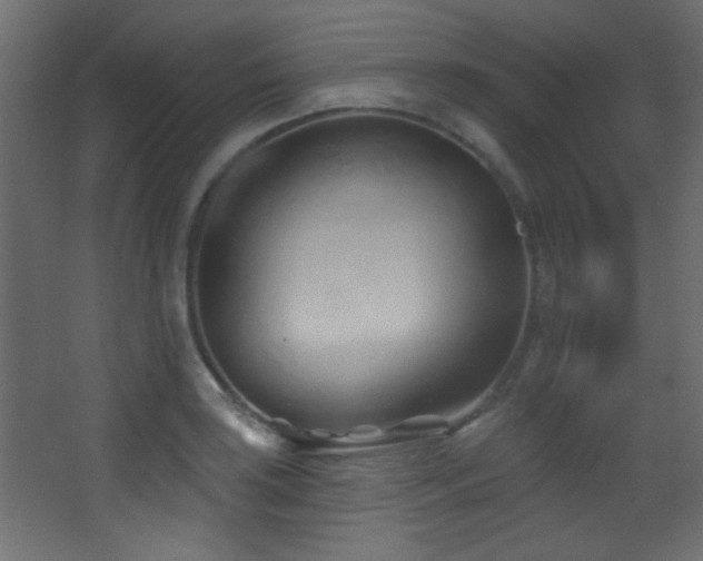 X0000068321035200604211200