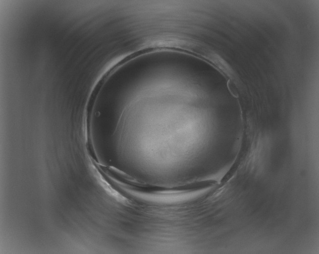 X0000068321036200604211200