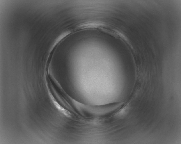 X0000068321042200604211200