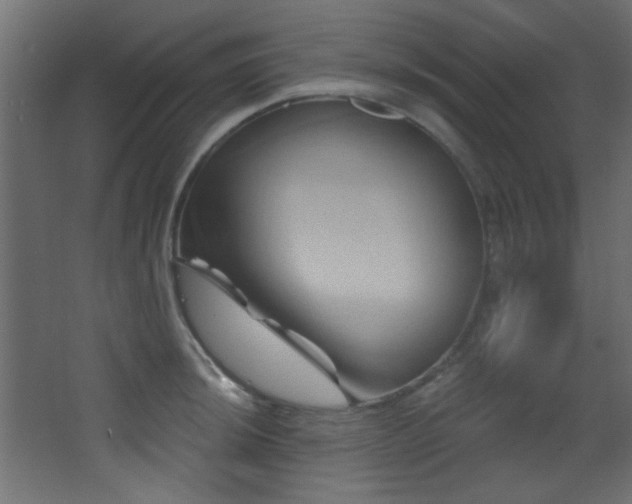 X0000068321044200604211200