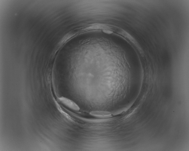 X0000068321049200604211200