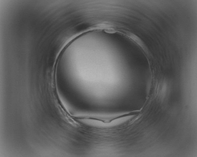 X0000068321052200604211200