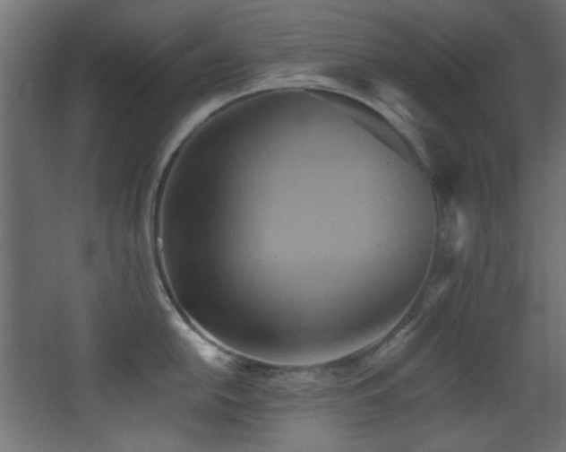 X0000068321054200604211200