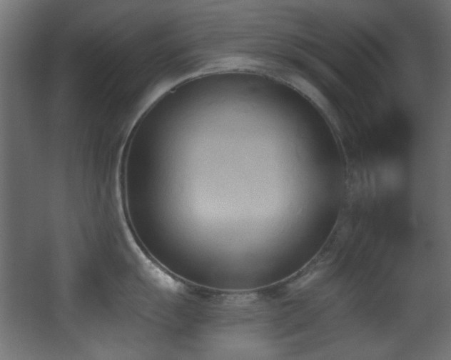 X0000068321055200604211200