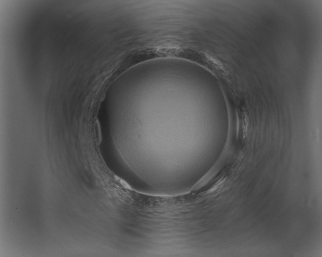 X0000068321057200604211159