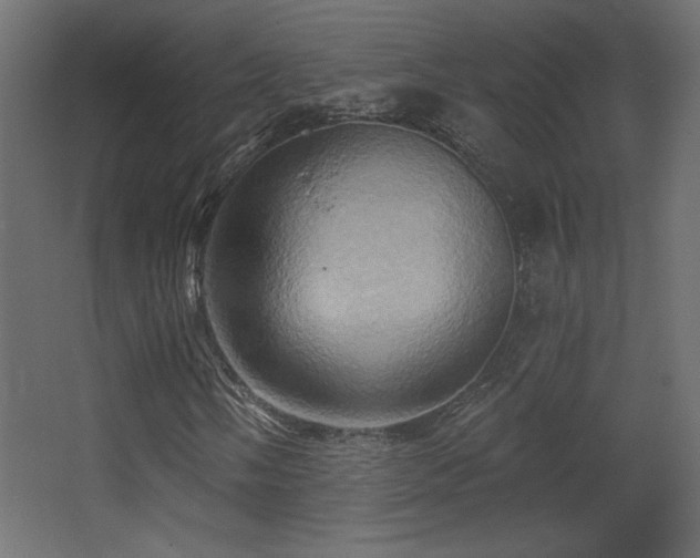 X0000068321058200604211159