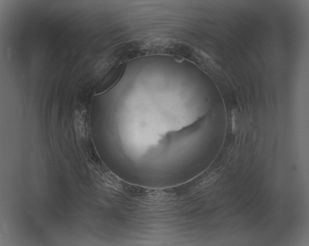X0000068321059200604211159